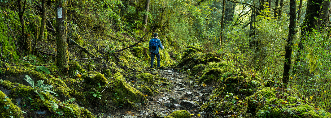 9 Days Western Bhutan Walking Holiday